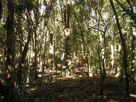 f0187402_20115430.jpg