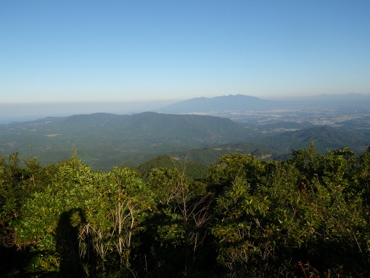 f0187402_2011796.jpg