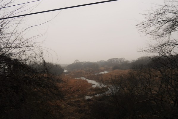 a0140305_1501675.jpg