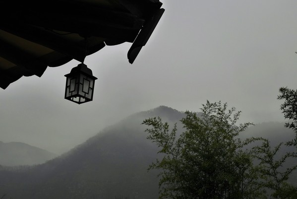 a0140305_159677.jpg