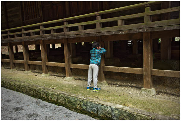 八徳山八葉寺の鬼追い_d0272207_2114274.jpg
