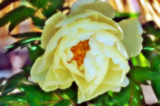 a0263109_16383830.jpg