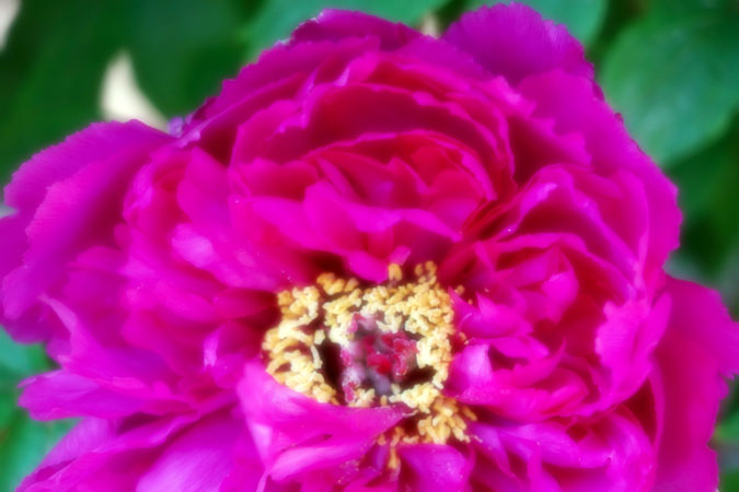 a0263109_16384641.jpg