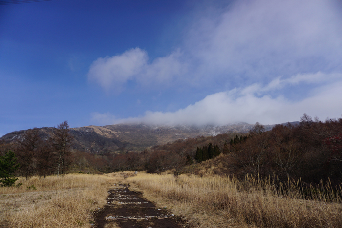 登り初めは伊吹山！_e0077010_21401677.jpg