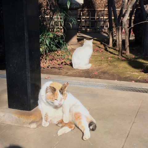 f0274713_21300806.jpeg