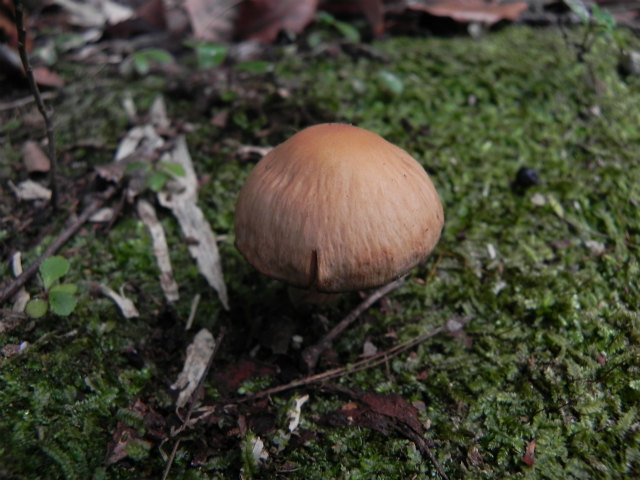 e0352220_21114661.jpg