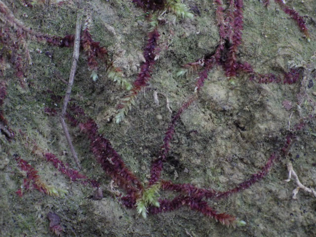 e0352220_21464535.jpg