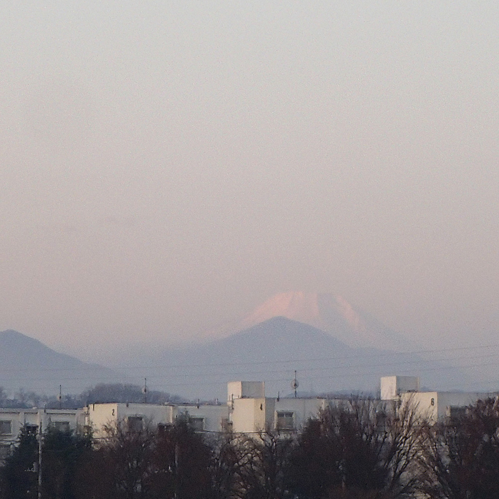 今朝の空はピンク色_e0123825_21285251.jpg