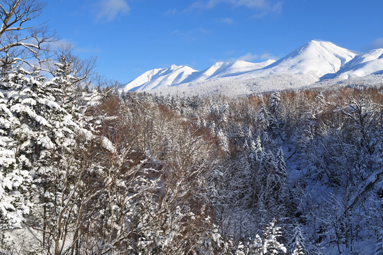 雪のある風景④_f0116528_20153178.jpg