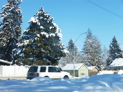 a0157637_21321949.jpg