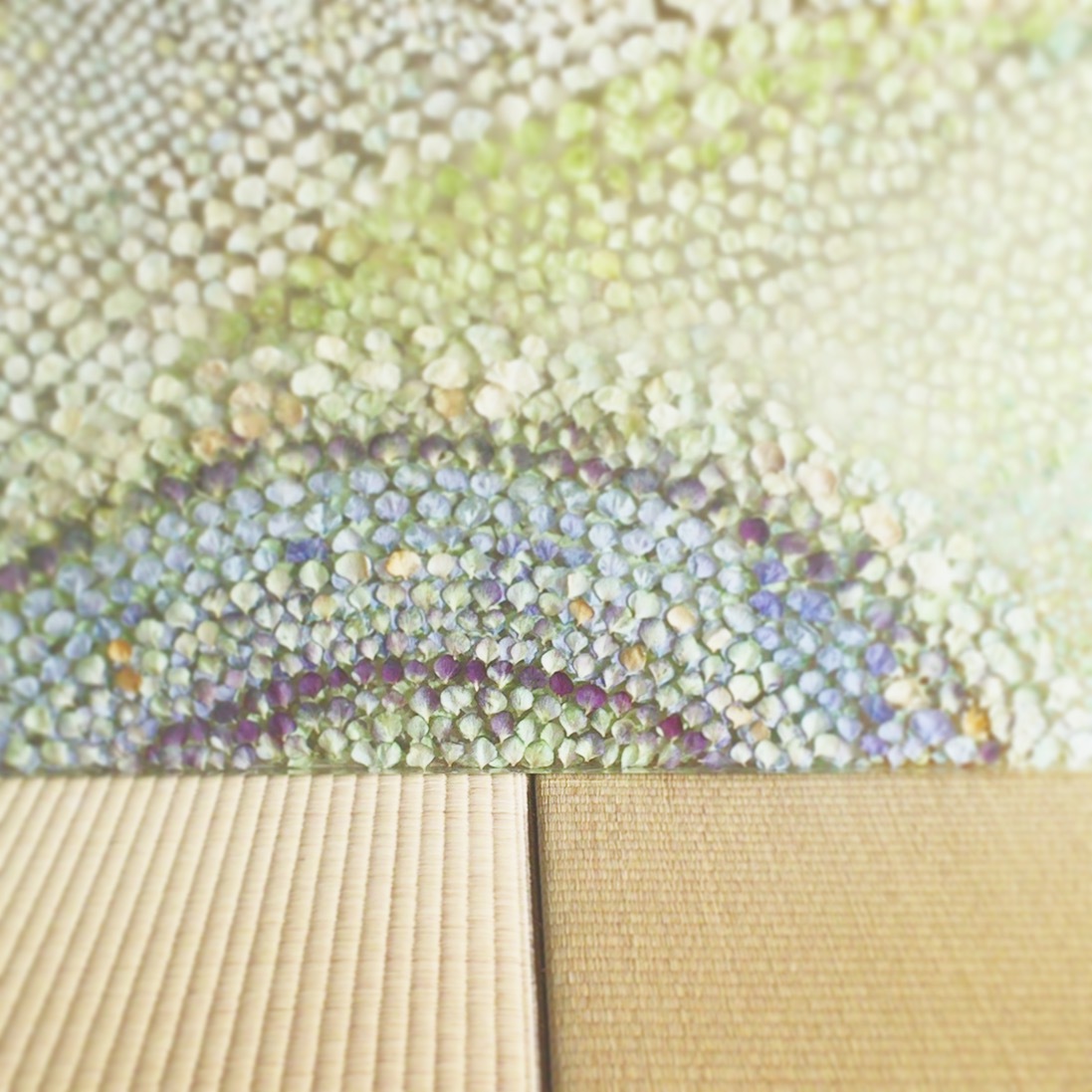 紫陽花_d0210537_09515626.jpeg