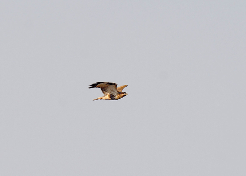 d0290240_20494113.gif