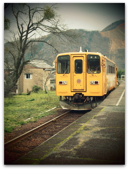 ローカル線～樽見鉄道と廃車両 ＠岐阜_d0098941_1750868.jpg