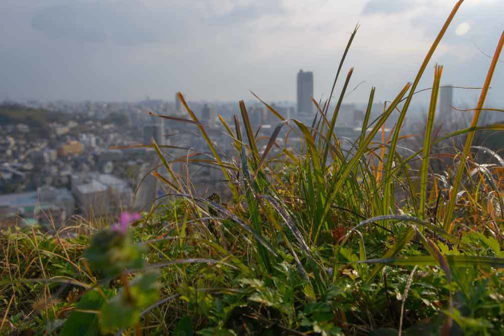 d0238245_17043842.jpg