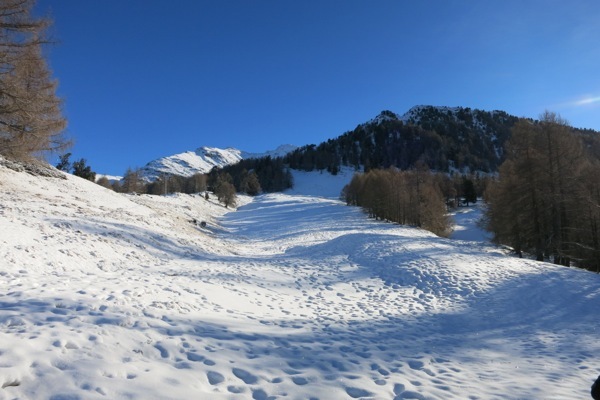 e0356046_04282437.jpg