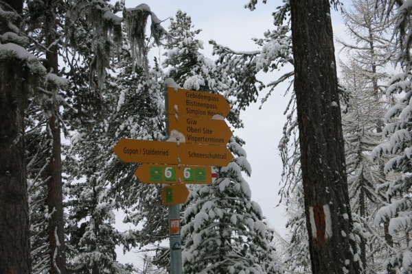 e0356046_04283962.jpg