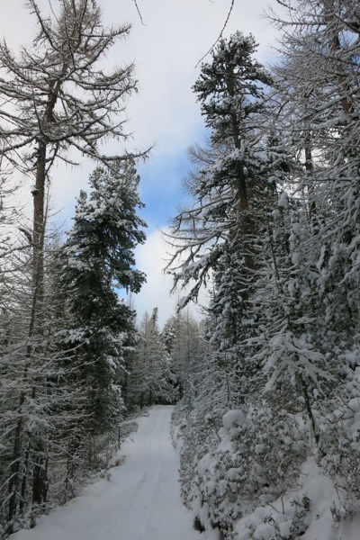 e0356046_04291513.jpg
