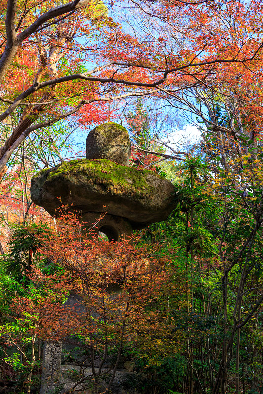 京都の紅葉2015・赤山禅院の秋_f0155048_0381832.jpg