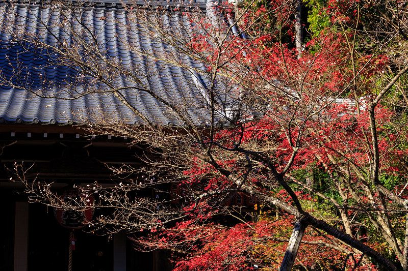 京都の紅葉2015・赤山禅院の秋_f0155048_0384247.jpg