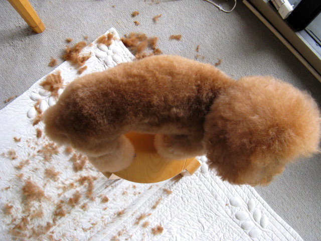 c0350949_08310847.jpg