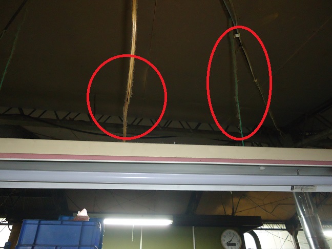 e0132350_2031343.jpg