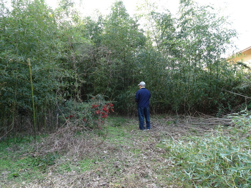 c0108460_22390259.jpg