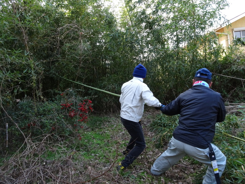 「とんど」組立準備＆組立完成・・・せんなん里海公園_c0108460_22390436.jpg