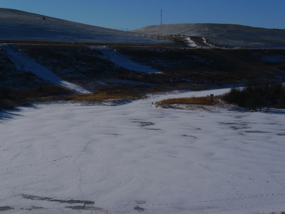 d0193569_10135960.jpg