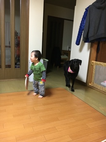 e0160787_20293427.jpeg