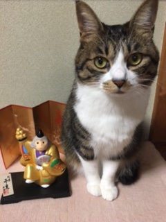 おつかれさん_f0177390_1740464.jpg