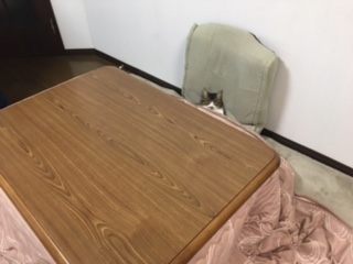 おつかれさん_f0177390_17433416.jpg