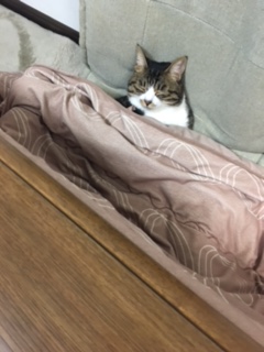 おつかれさん_f0177390_17435184.jpg