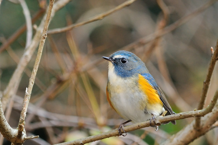 a0143491_20595082.jpg