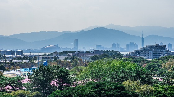 e0176993_07294915.jpg