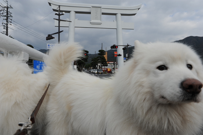 山陰へ 4_a0049296_18305134.jpg