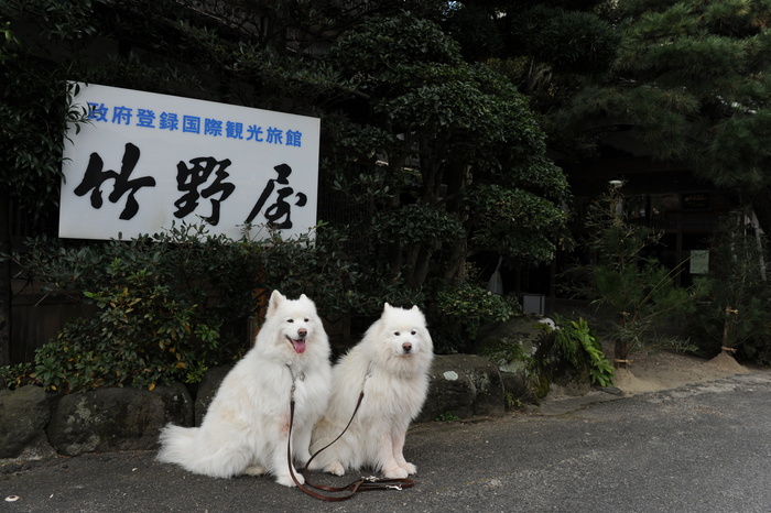 山陰へ 4_a0049296_18322317.jpg