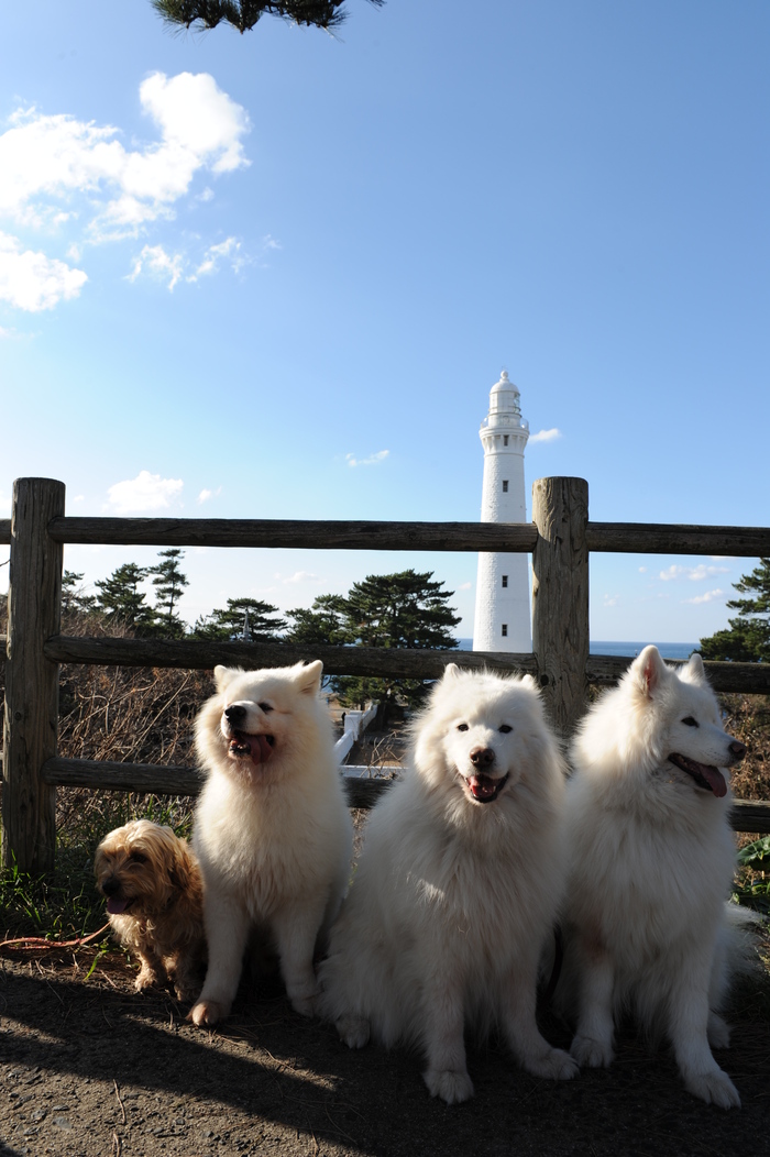 山陰へ 4_a0049296_1846354.jpg