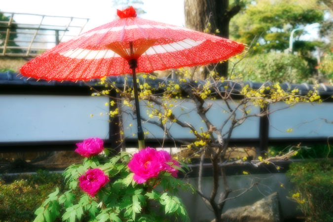 a0263109_1054038.jpg