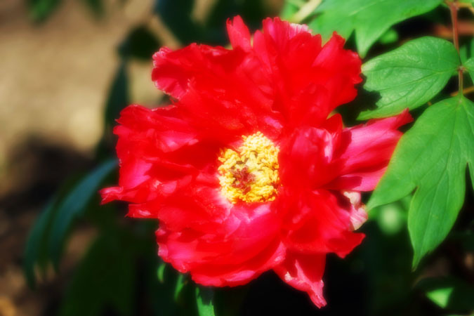 a0263109_1054177.jpg