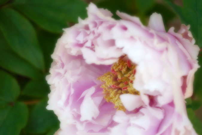 a0263109_1054821.jpg