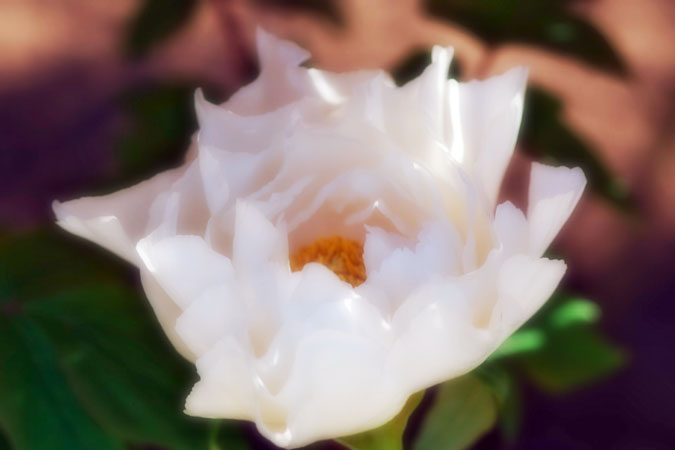 a0263109_10562842.jpg