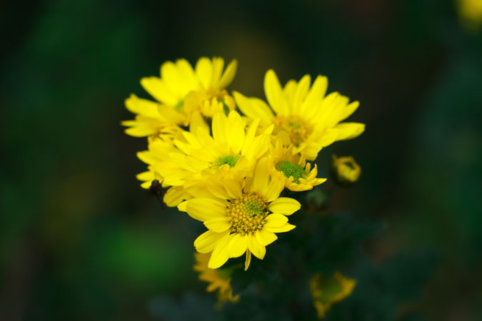 a0263109_2047535.jpg