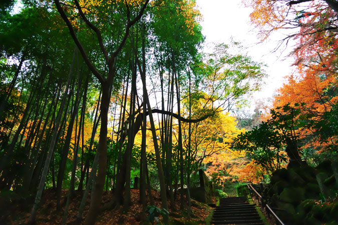 北鎌倉　東慶寺の紅葉2_a0263109_20533364.jpg