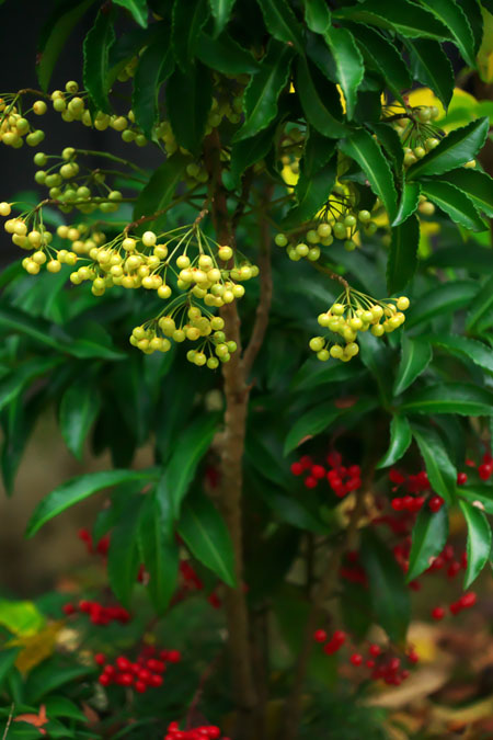 a0263109_2057250.jpg