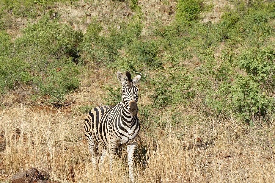 b0112909_18351.jpg