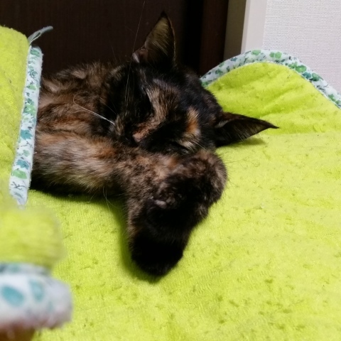 e0144012_00352129.jpg