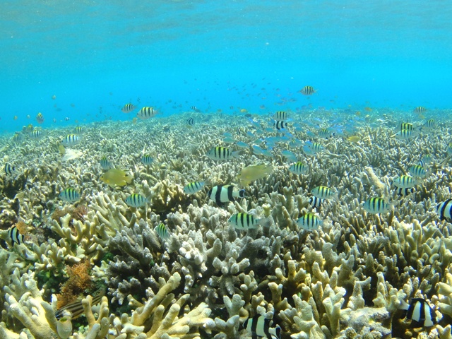 陸も海もワイドレンズ活躍中_c0211615_194223.jpg