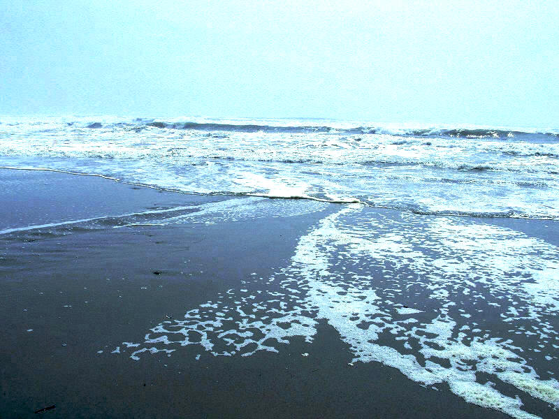 明けましておめでとうございます。_e0010418_920813.jpg