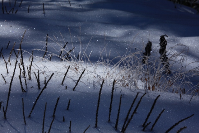 e0242721_18131978.jpg
