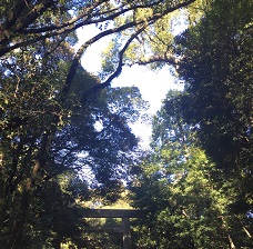 e0305824_1656944.jpg